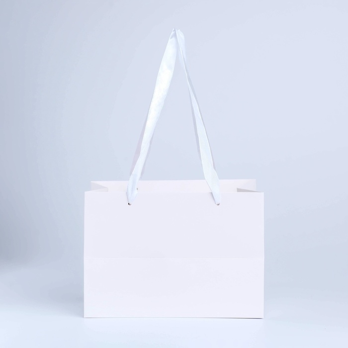 Пакет подарочный с широким дном и окном 20 × 14 × 13,2 см, белый Пакет подарочный с широким дном и окном 20 × 14 × 13,2 см, белый