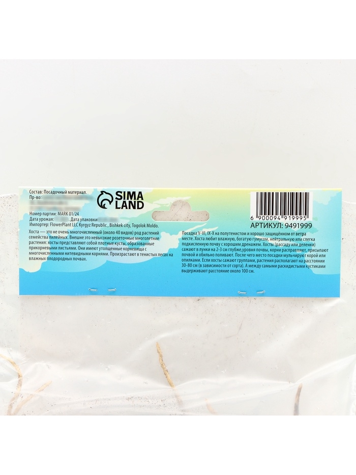 Хоста Tortilla Chip, корневище в пакете с торфогрунтом, р-р I, размер L,1 шт.