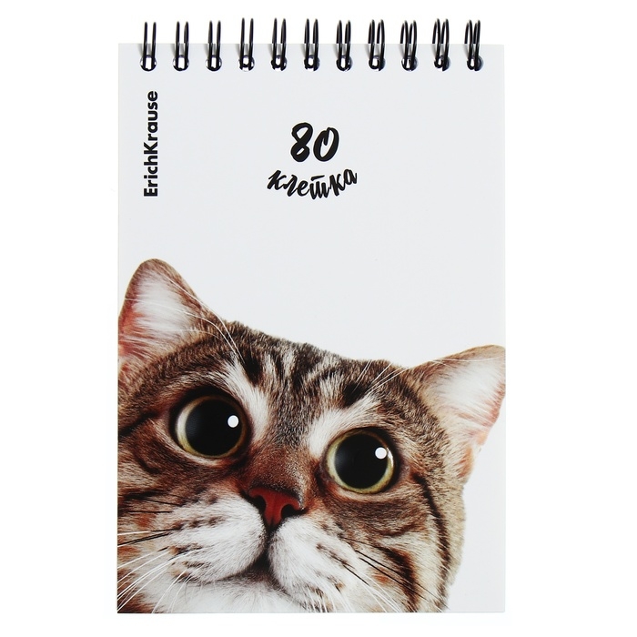 Блокнот на спирали А6, 80 листов, клетка, ErichKruase Блокнот на спирали А6, 80 листов, клетка, ErichKruase "Котики", картонная обложка, блок офсет, белизна 100%, МИКС