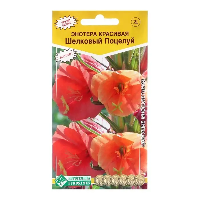 Семена Энотера красивая "Шелковый поцелуй",  0 ,1  г