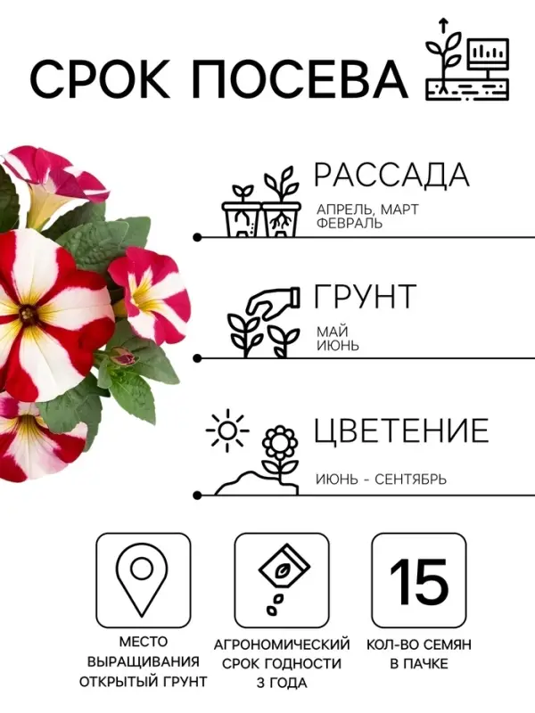 Семена цветов Петуния крупноцветковая &laquo;Танго&raquo; красная с белой звездой, 15 шт.