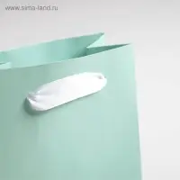Пакет подарочный, упаковка, &laquo;Мятный&raquo;, 12&times;15&times;5.5