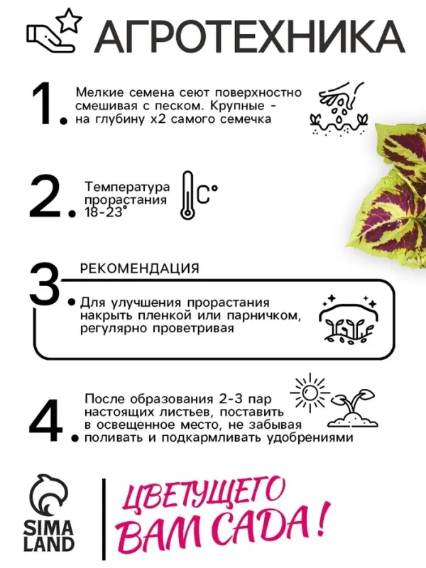 Семена цветов Колеус  Семена цветов Колеус "Фейерверк" Мозаика F1, О, 10 шт