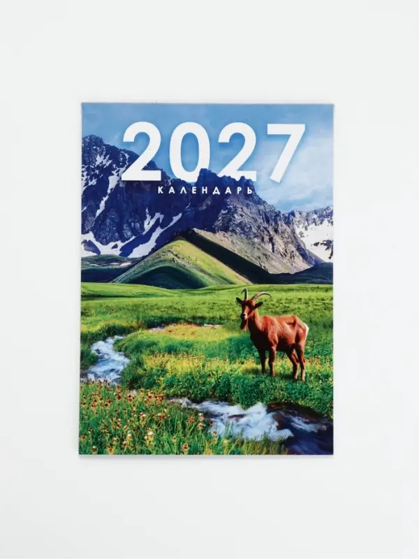Календарь 2027, отрывной на магните &laquo;Фантазийный&raquo; 9.5&times;13 см