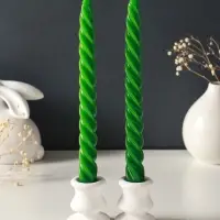 Набор свечей витых, 2.3&times;24.5 см, 5 ч, 50 г, 2 шт., т. зелёный, в подарочной коробке