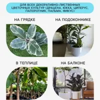 Грунт для всех видов декоративно-лиственных &laquo;Рецепты Дедушки Никиты&raquo;, 5 л