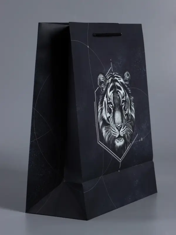 Пакет подарочный "Сила характера" ламинированный 26 х 12 х 32 см