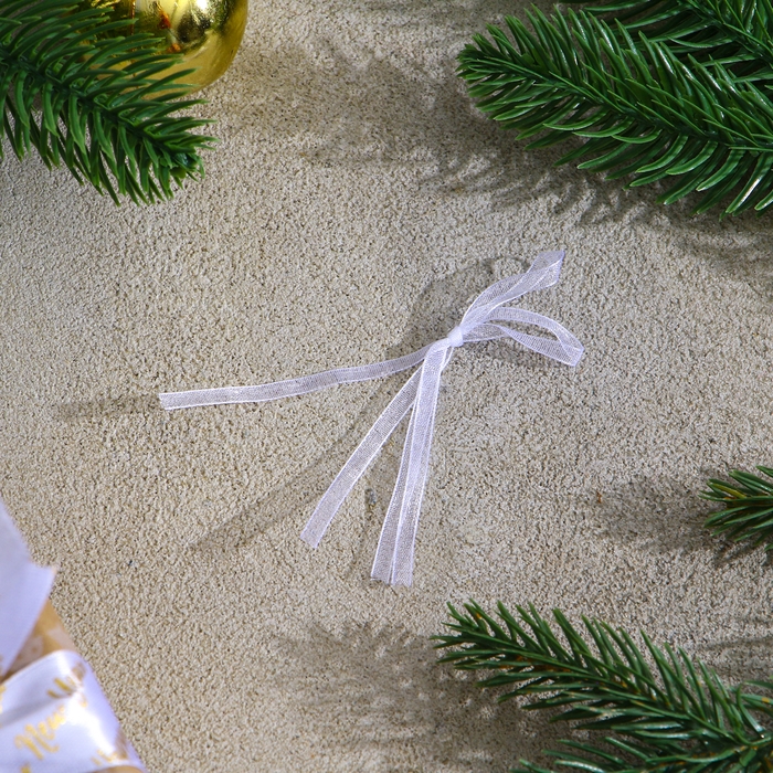 Ёлочное украшение под раскраску «Снеговичок» размер: 8 см; 2 шт., кисть Ёлочное украшение под раскраску «Снеговичок» размер: 8 см; 2 шт., кисть