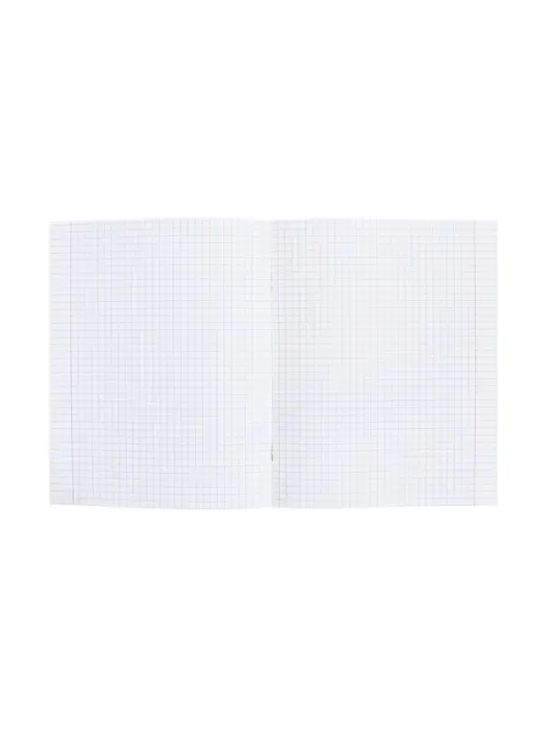 Тетрадь 48 листов в клетку &laquo;Приключения кота Пирожка&raquo; География, белые листы