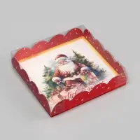 Коробка для печенья, «Дед Мороз», 15×15×3 см, Новый год