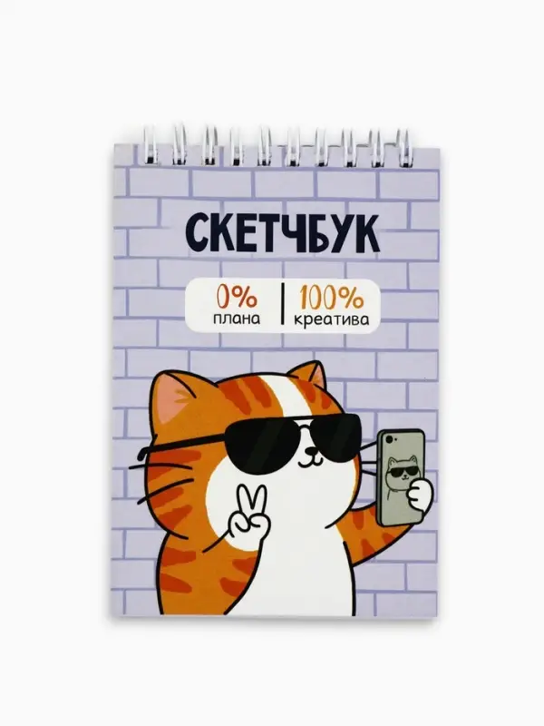 Скетчбук А6, 80 л., 100 г/м&sup2; &laquo;Котик&raquo;