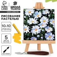 Рисование пастелью c холстом на подрамнике &laquo;Ромашки&raquo;, набор для творчества