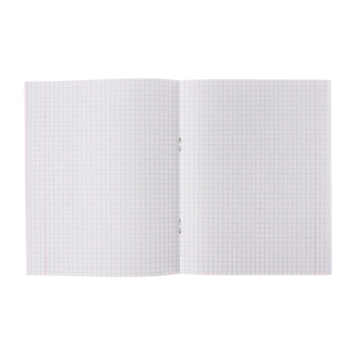 Комплект тетрадей из 5 штук (4 разные + 1 повторяющаяся), 48 листов в клетку Calligrata "Листья", обложка мелованная бумага, блок №2, белизна 75% (серые листы)