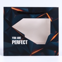 Пакет подарочный с окном "Perfect", 25 х 10 х 22 см