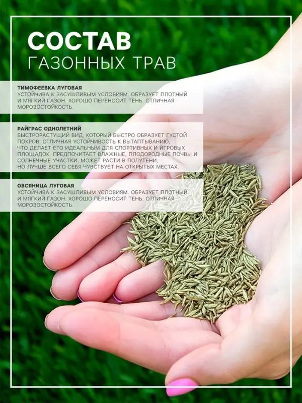 Газонная травосмесь &laquo;Быстрый газон&raquo;, 1 кг