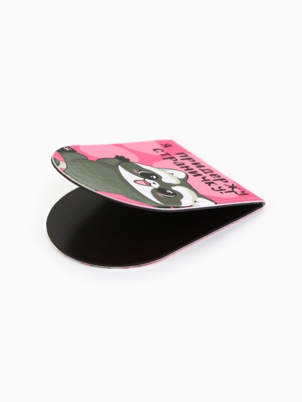 Закладки магнитные для книг, 8 шт "Еноты и котики"