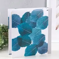 Фотоальбом 50 магнитных листов "Бабочка на зелёном листе" 23X28см, пер-т 3-кольца Фотоальбом 50 магнитных листов "Бабочка на зелёном листе" 23X28см, пер-т 3-кольца