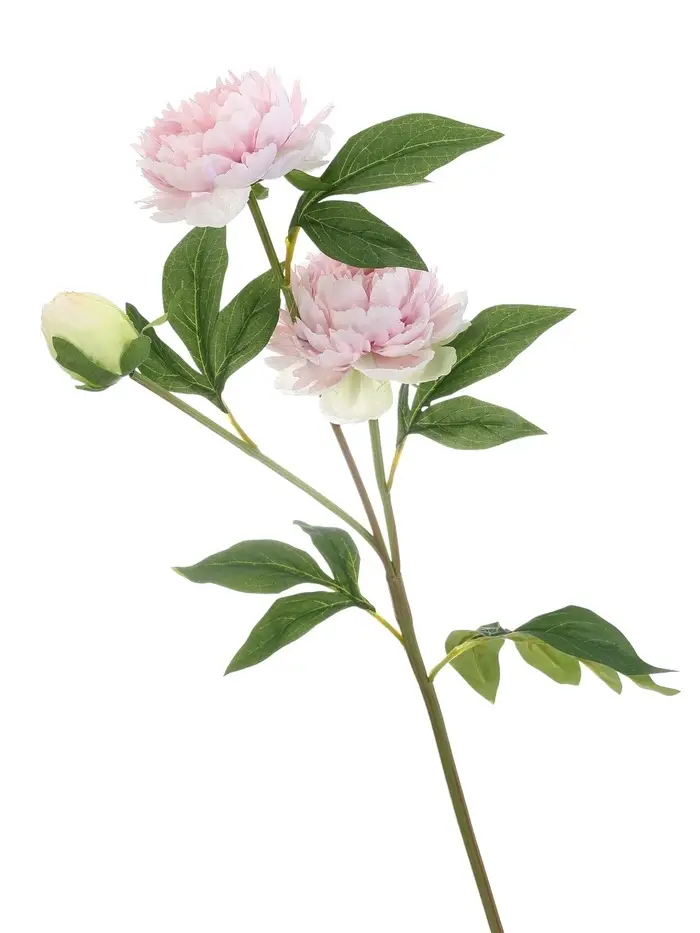 Цветы искусственные &laquo;Пион Беверли люкс&raquo;, h=60 см, светло-розовые