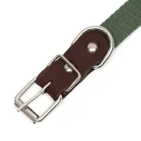 Ошейник брезентовый однослойный, 52&times;2 см, ОШ 25-45 см, тёмно-зелёный