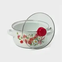 Набор Астры-1-Экстра (белая)Россия