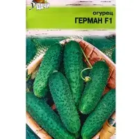 Семена огурца &laquo;Герман&raquo;, F1, 0.2 г, &laquo;УРОЖАЙ УДАЧИ&raquo;