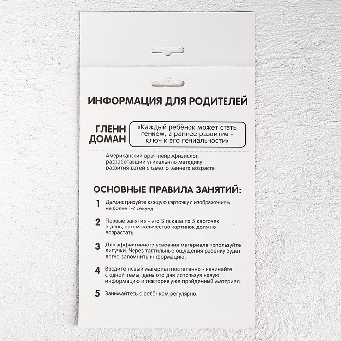 Развивающая игра на липучках «‎Изучаем мир лесных животных», методика Домана, с обучающими карточками по методике Глена Домана