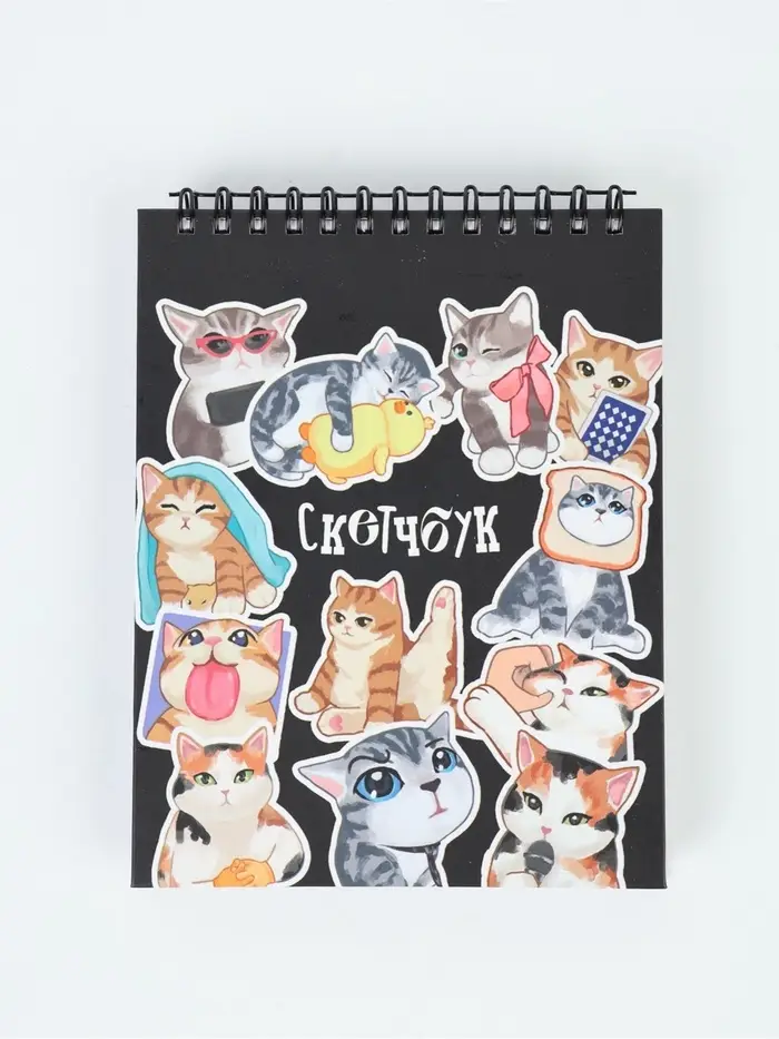 Скетчбук в твердой обложке А6, 80 л. 100 г/м "Котики"