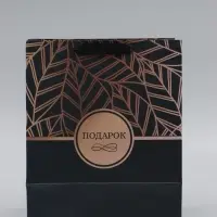 Пакет ламинированный вертикальный &laquo;Подарок&raquo;, 21&times;25&times;8 см