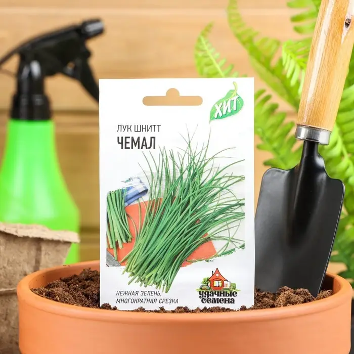 Семена Лук на зелень шнитт &laquo;Чемал&raquo;, 0.5 г, &laquo;Удачные семена&raquo;