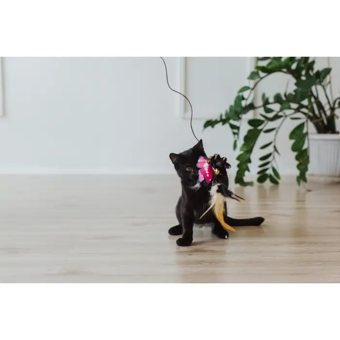 Дразнилка &laquo;Бабочка&raquo;, с перьями, цвет МИКС