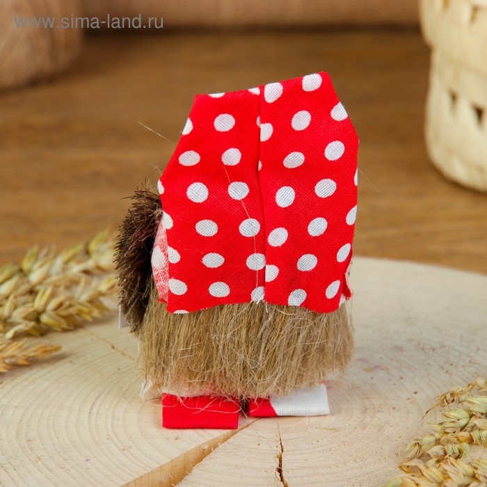 Оберег «Домовой», с рублями, 10 см, микс Оберег «Домовой», с рублями, 10 см, микс