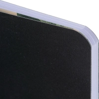 Тетрадь общая, BS, 150х210мм, 48л., клетка, скрепка. Flora, черный N4138