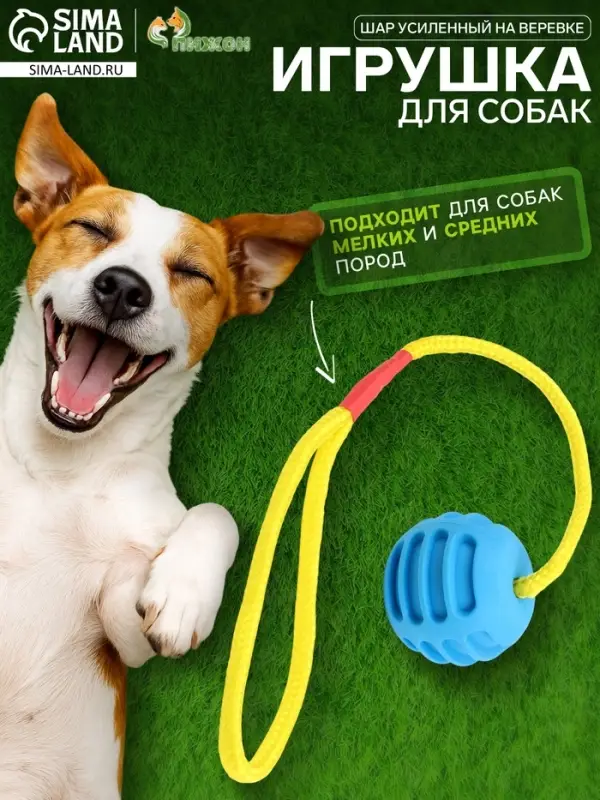 Игрушка &laquo;Шар усиленный на веревке&raquo;, 43 см, шар 6 см, голубой