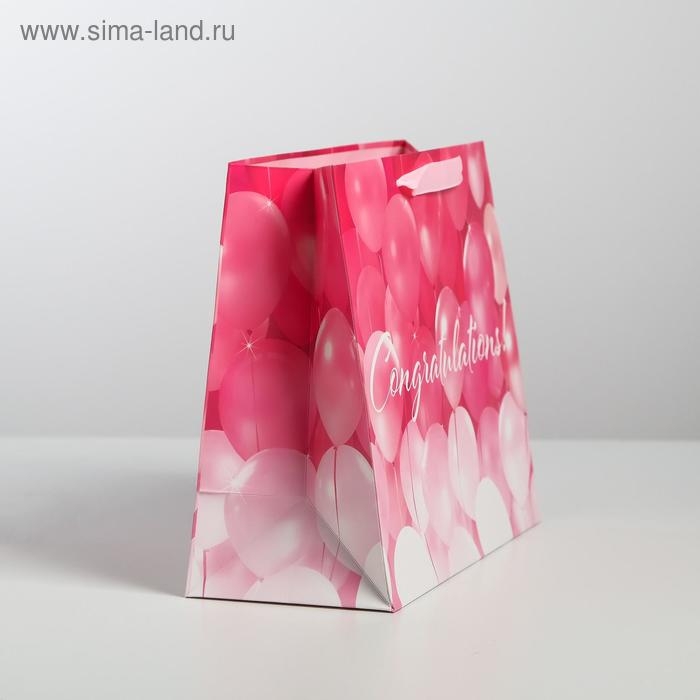 Пакет подарочный ламинированный горизонтальный, упаковка, Congratulations!, ML 27 х 23 х 11,5 см