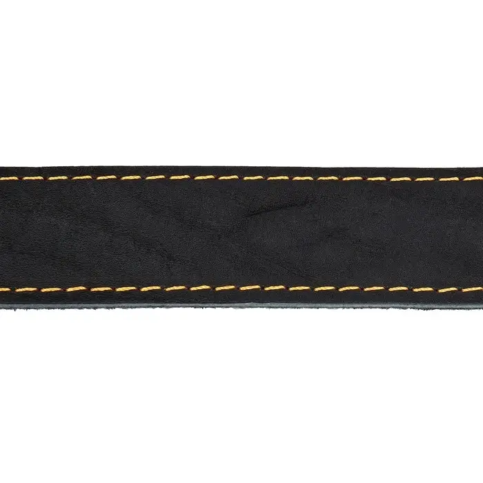 Ошейник, 70&times;3.5 см, ОШ 45-60 см, на синтепоне, кожа, чёрный