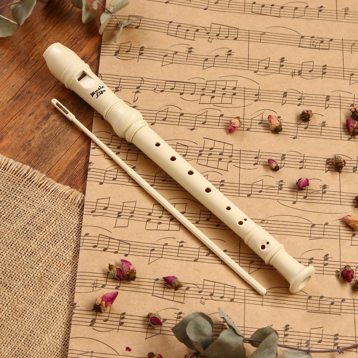 Блокфлейта Music Life, 8 отверстий, немецкая система, сопрано Блокфлейта Music Life, 8 отверстий, немецкая система, сопрано