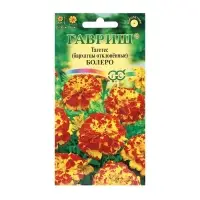 Семена цветов Бархатцы отклоненные (Тагетес) "Болеро", ц/п,  0,3 г Семена цветов Бархатцы отклоненные (Тагетес) "Болеро", ц/п,  0,3 г