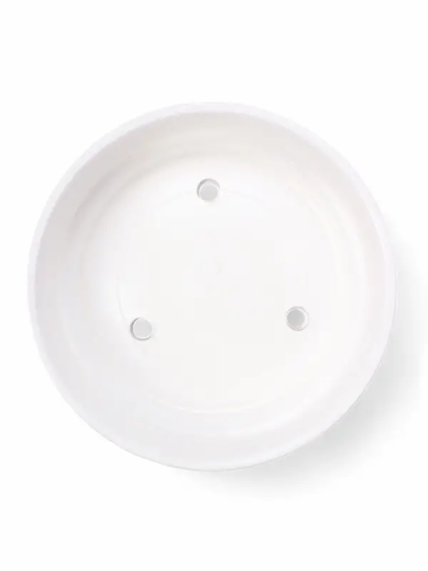 Горшок бонсайница 0,7 л, 15×5,5 см для кактусов и суккулентов белый, керамика Горшок бонсайница 0,7 л, 15×5,5 см для кактусов и суккулентов белый, керамика "Огма"