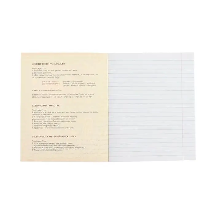 Тетрадь предметная 48 листов в клетку Calligrata, «Футбол. Русский язык», обложка мелованный картон, серые листы Тетрадь предметная 48 листов в клетку Calligrata, «Футбол. Русский язык», обложка мелованный картон, серые листы