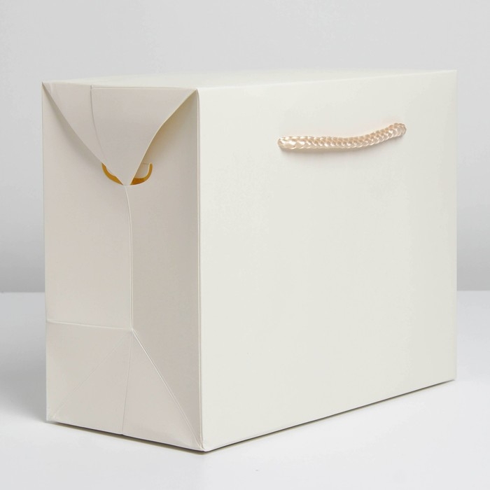 Пакет—коробка, подарочная упаковка, «Белый», 28 х 20 х 13 см Пакет—коробка, подарочная упаковка, «Белый», 28 х 20 х 13 см