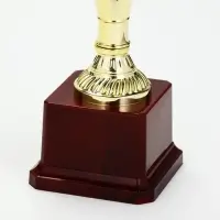 Кубок 042С, наградная фигура, золото, подставка пластик, 26.2&times;8.7&times;7.5 см