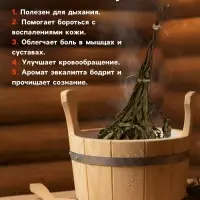 Веник для бани, эвкалиптовый, в упаковке