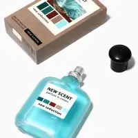 Туалетная вода мужская New Scent New Seduction, 100 мл