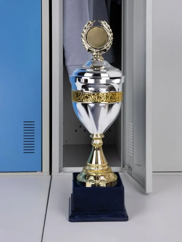 Кубок EnterPrize, серебристый