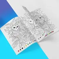 Раскраски по номерам &laquo;Для девочек&raquo;, набор 4 шт., по 16 стр.