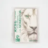 Пакет подарочный «Новогодний подарок», с носком для подарков, 18 × 23 × 11 см Пакет подарочный «Новогодний подарок», с носком для подарков, 18 × 23 × 11 см