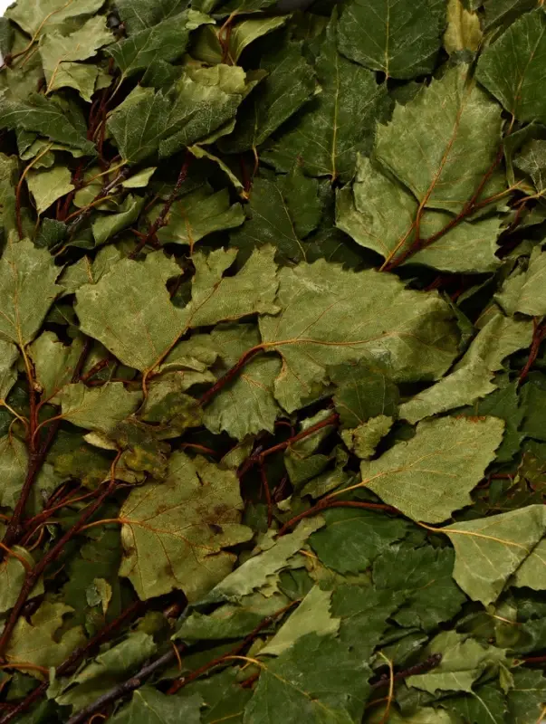 Веник для бани берёзовый, &laquo;Добропаровъ&raquo;