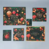 Пакеты подарочные ламинированные &laquo;С новым годом!&raquo;, набор 6 шт.