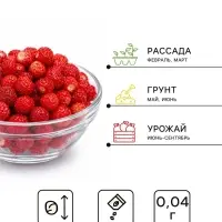 Семена Земляника &laquo;Ксюша&raquo;, альпийская, 0.04 г, &laquo;Аэлита&raquo;