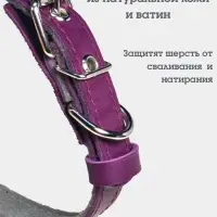 Ошейник, 50&times;2.5 см, подклад из ватина, кожа, фиолетовый